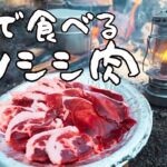 【ソロキャンプ】焚き火でイノシシを焼いて食べてみた。（ジビエ料理、野営、焚き火、直火）