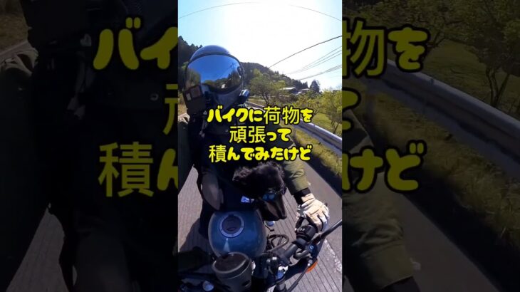 【愛犬とバイクで初キャンプ！】本編公開はもう少しお待ちください🙏✨#レブル250 #バイク #バイク犬 #ツーリング #バイクキャンプ #キャンプ #初キャンプ#初心者ライダー #バイク女子