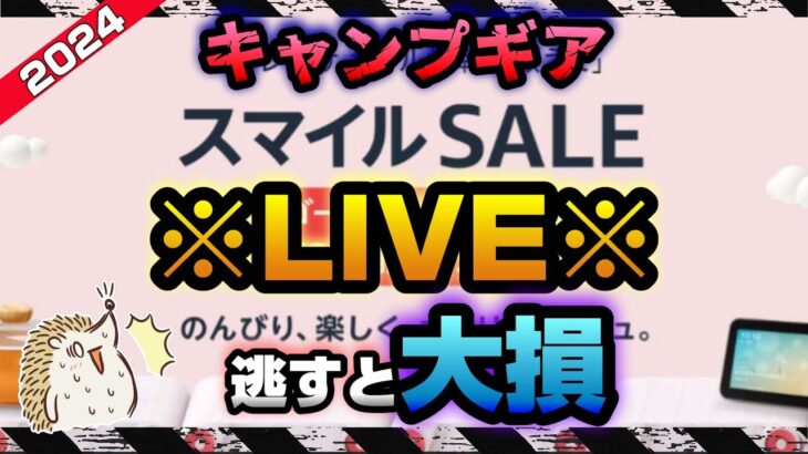 【Live】逃すと大損！Amazonスマイルセール！お買い得情報！《高コスパ ソロキャンプ アウトドア  軽量 コンパクト オススメ バイクキャンプギア キャンツー 初心者 選び方》