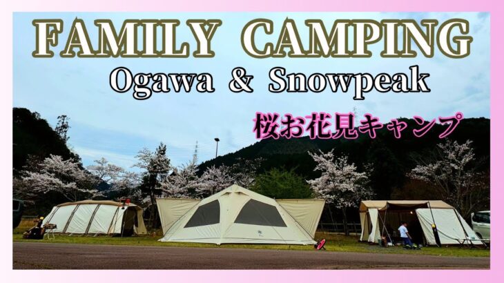 【桜キャンプ】桜と仲間と鯨料理/camping