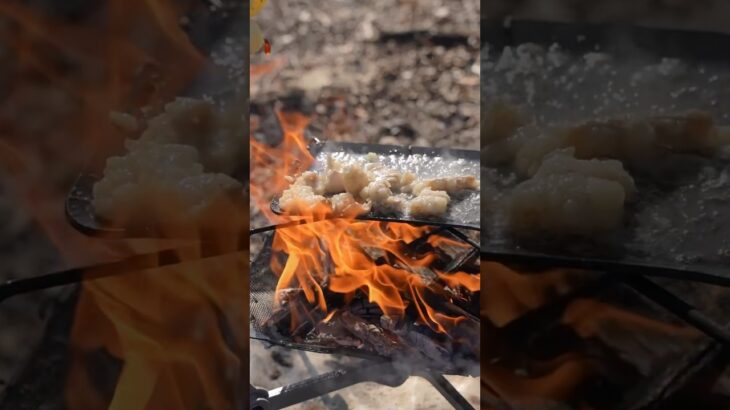 ホルモン焼き #キャンプ飯 #キャンプ #キャンプ料理 #キャンプギア #焚き火