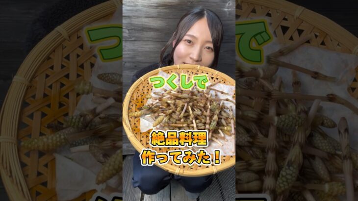 【最強】つくしで絶品料理作ってみた！ #愛媛県 #キャンプ女子 #アウトドア飯 #アウトドア女子 #キャンプ飯 #田舎暮らし #山菜採り