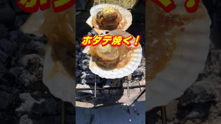 セリアのスピットでホタテ焼き　100均キャンプ　 #ダイソー #キャンプ飯