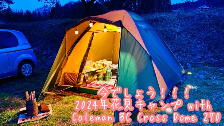 今でしょう！！！ 2024年花見キャンプ with Coleman BC Cross Dome 270