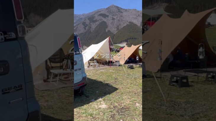 【50代夫婦】ソロデュオ パンダ⛺️２つ並べて別居キャンプは最高 #キャンプ #デュオキャン #アラフィフ #アウトドア #キャンプ道具 #ソロキャンプ