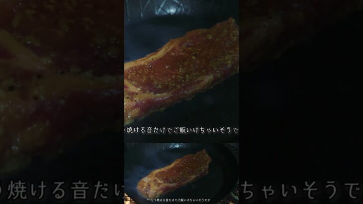 #料理 #キャンプ #料理動画 #cooking #voiceroidグルメ #アウトドア #voiceroidキッチン #焼肉