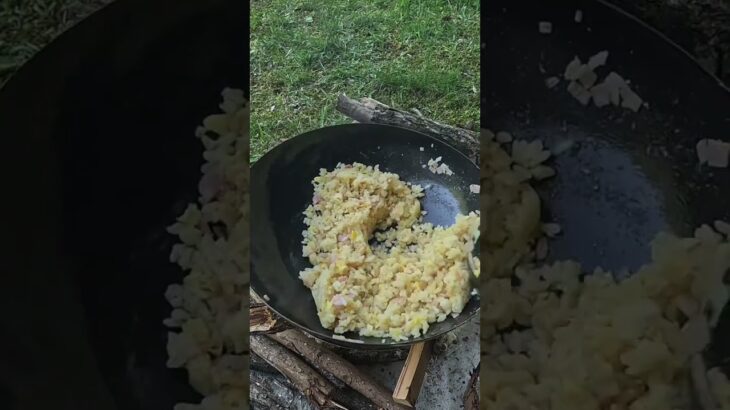 [ソロキャンプ奈良] はやまの森野営場。中華鍋でチャーハン。中華キャンプ。