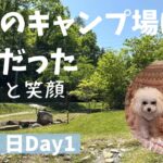 【わんことキャンプ】平日のキャンプ場は最高だった　#広島#広島県安芸高田市