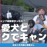 【初めて愛犬とバイクでキャンプ】キャンプ経験者か？と思うような失敗が続々と…あるかもしれない｜バイクでキャンプしている人ってホンマに凄いと思ったわ