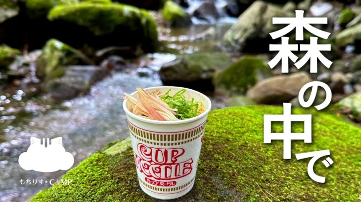 【ソロキャンプ】森の中でマイナスイオン浴びながら食べる【キャンプ飯】