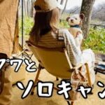 暴走犬‼︎プワとソロキャンプ