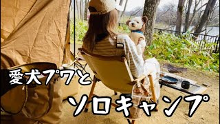 暴走犬‼︎プワとソロキャンプ