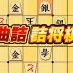 曲詰 詰将棋 豊島ブートキャンプ 詰将棋ブートキャンプ  将棋初心者 将棋　 認知行動療法 フレイル予防 体操 藤井聡太 羽生善治 将棋放浪記 から学ぶ　81days