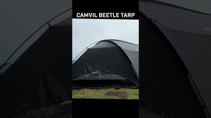 夏だ！キャンプだ！カブトムシテント!? CAMVIL BEETLE TARP 徹底レビュー #beetle #キャンプギア #camping