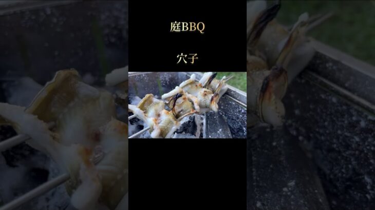 #bbq #庭bbq #炭火焼き #穴子 #キャンプ飯 #アウトドア #キャンプ #バーベキュー #料理 #バーベキュー料理 #キャンプ飯