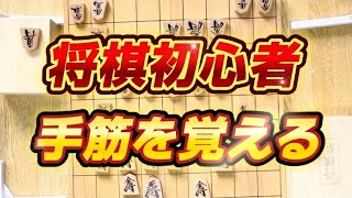 将棋手筋 将棋一目の受け 豊島ブートキャンプ shougi 将棋初心者 将棋　脳トレ 認知行動療法 頭の体操 藤井聡太 羽生善治 将棋放浪記 から学ぶ