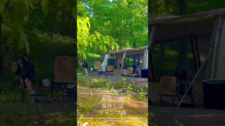 福島県キャンプ場🏕️「赤坂の里森林公園キャンプ場」林間サイトで自然を満喫✨　#ファミリーキャンプ  #おすすめキャンプ場  #初心者キャンプ  #スウェーデントーチ  #アポロンtc