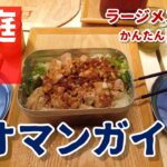 【庭キャンプ飯】メスティンで作る「カオマンガイ」【ボツ動画 博物館】