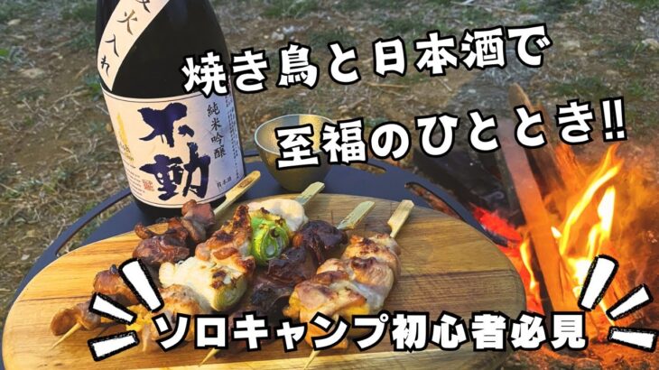 【ソロキャンプで楽しむ】焼き鳥と日本酒で至福のひととき🏕️🍢🍶