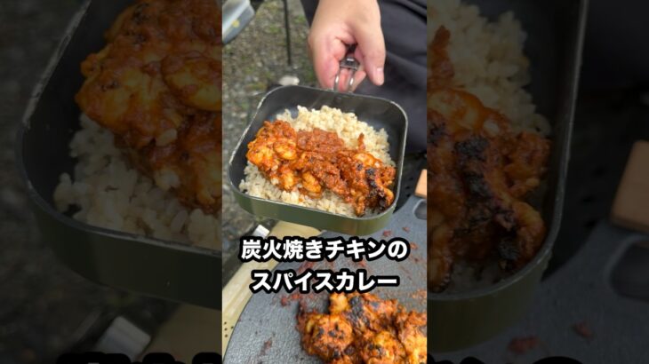 【キャンプ飯】炭火焼きチキンのスパイスカレー マルチグリドルで料理