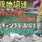 一匹◯◯◯◯円の高級魚ゲットなるか！初めての釣りキャンで食料現地調達ぼっちキャンプを満喫