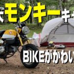 バイク キャンプ モンキー125 キャンプデビュー！モンキーでもキャンプできるか試してきた Motoorcycle camping