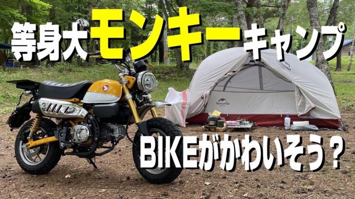 バイク キャンプ モンキー125 キャンプデビュー！モンキーでもキャンプできるか試してきた Motoorcycle camping