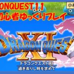 【DRAGONQUEST11】初心者ゆっくりプレイ※ネタバレあり　スタート～最初のキャンプ20240713