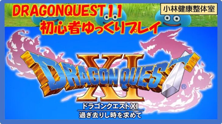 【DRAGONQUEST11】初心者ゆっくりプレイ※ネタバレあり　スタート～最初のキャンプ20240713