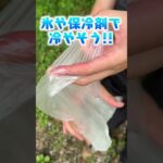 夏キャンプでアブに噛まれた時の対処法