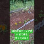 【家庭菜園】湯河原の野営キャンプ場に、皆で畑と花壇を作ってみた！　#家庭菜園 #家庭菜園初心者 #キャンプ