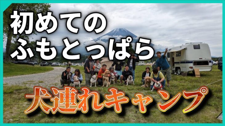 【キャンプ🔰初心者】憧れの聖地ふもとっぱらキャンプ場でひたすら食いまくる夫婦【犬連れキャンプ】