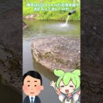 【初心者】長野県のオススメキャンプ場3選。【キャンプ】