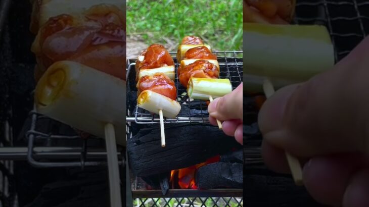 炭火で焼き鳥 焼いてみた #料理 #ソロキャンプ飯 #キャンプ＃焼き鳥＃炭火＃ソト飯