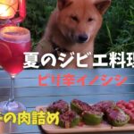 夏のジビエ料理 かぐら南蛮の肉詰め 猪