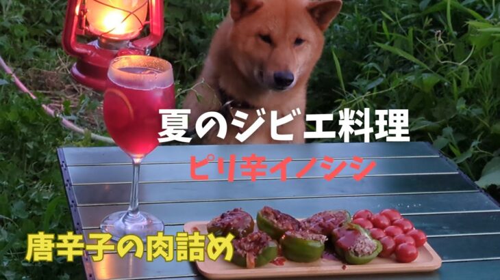 夏のジビエ料理 かぐら南蛮の肉詰め 猪