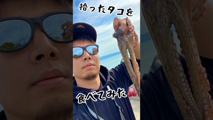 落ちてるタコ美味い #fishingvideo #fishing #釣り #エギング #料理 #キャンプ #九州 #長崎 #長崎県 #移住 #たこ焼き #食糧危機