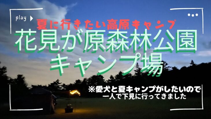 花見が原森林公園キャンプ場～ワンコと夏キャンプへ！ソロで下見へ行ってきました