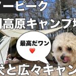 スノーピーク白川高原キャンプフィールドで愛犬とのびのびキャンプ！キャンプ初心者動画