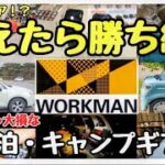 【世界初！？】車中泊グッズ＆キャンプ道具覚醒！ワークマンの衝撃ギアが熱すぎた件【２０２４年 】