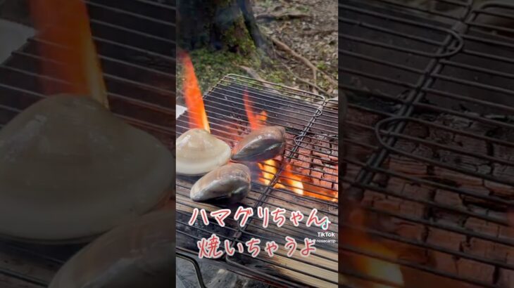 貝類は裏切らない。#キャンプ飯