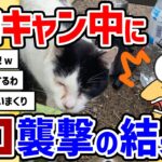 【2ch面白いスレ】ソロキャンプ中にヌッコが襲撃した結果鉄ヲタのラブライバー、キャンプで牡蠣を食べる【ソロキャンプ】キャンプ初心者がまず買うべき早く知りたかった⁉️おすすめの【2chスレ ゆっくり】