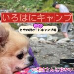 自然界からお友達が遊びにきた！いろはにキャンプINとやの沢オートキャンプ場(前編)【いろはさんとゆかいな仲間たち】