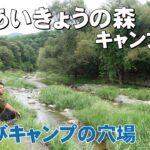 林間と川！あいきょうの森キャンプ場はこんなところ