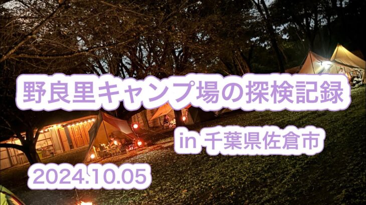 【キャンプ】野良里キャンプ場の探検記録✍️🏕