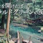 軍幕でソロキャンプ｜神秘的な景色を眺めながら釣りを楽しむ｜不安の先にある大切なもの｜野営ブッシュクラフト｜あてらの森