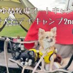 【愛犬とキャンプ②】成田ゆめ牧場オートキャンプ場に行ってきた♡