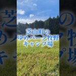 【芝山町】芝生のキャンプ場【成田空港】