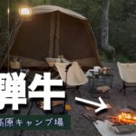 【夫婦キャンプ】初めての焚き火料理‼︎飛騨牛を森の中の雰囲気で…