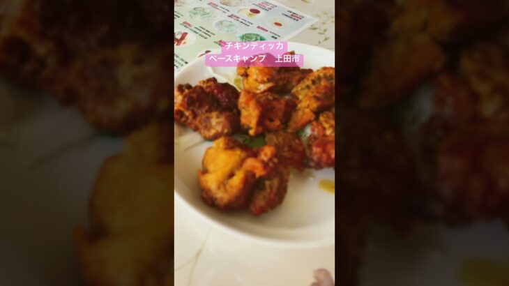 上田市 ネパール・インド料理 ベースキャンプ 菅平インターそば 窯焼きナンとマサラカレーが食べられるお店 チキンティッカ